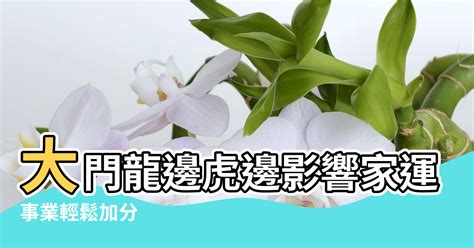 虎邊植物|風水有關係：謝沅瑾老師，植物、拱門、回風煞、哭字。